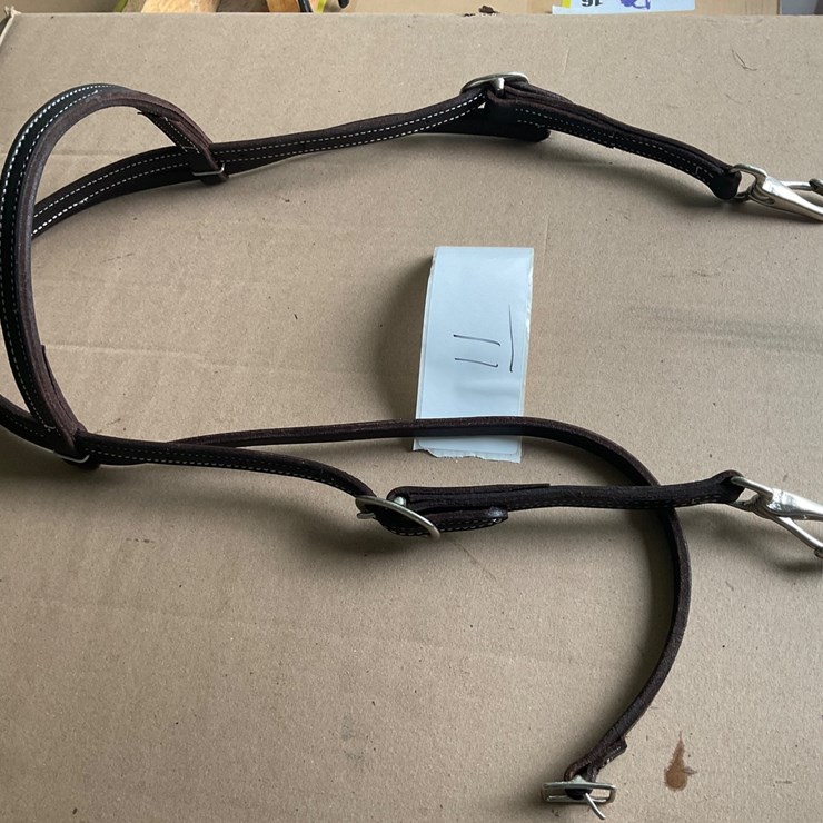 #11 • Leather headstall with snaps