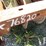 towner-disc-76820-image-5