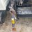2002-international-durastar-4300-image-56