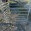 #48-•-4ft-galvanized-goat-panel-with-pins-image-1
