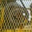 #2359-•-lippman-t-1260-jaw-and-roll-crushers-image-50