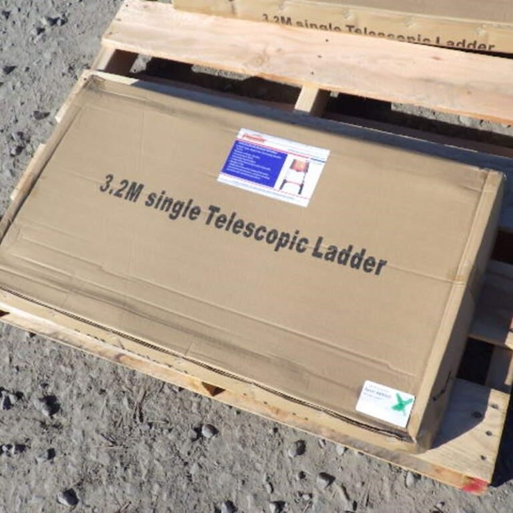 Telescopic Ladder