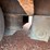 2012-ledwell-48'-image-41
