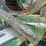 #2359-•-lippman-t-1260-jaw-and-roll-crushers-image-26