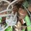 #5611-•-sullair-150-sulliscrew-towable-air-compressor-image-24