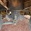 #630-•-lot-630-image-33