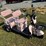 #94-•-mgc40-mini-electric-golf-cart-image-3