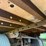 great-dane-sup-1114-31053-image-15