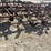 l2---3pt-oliver-chisel-plow-image-2