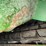 john-deere-9550-image-45
