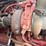 2013-western-star-4900sb-image-23