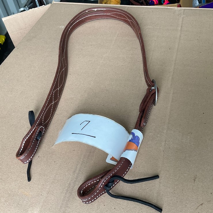 #7 • Leather one ear head stall