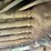 #2359-•-lippman-t-1260-jaw-and-roll-crushers-image-138