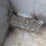 miller-bobcat-225g-image-17