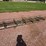 #89-•-lot-89-image-7