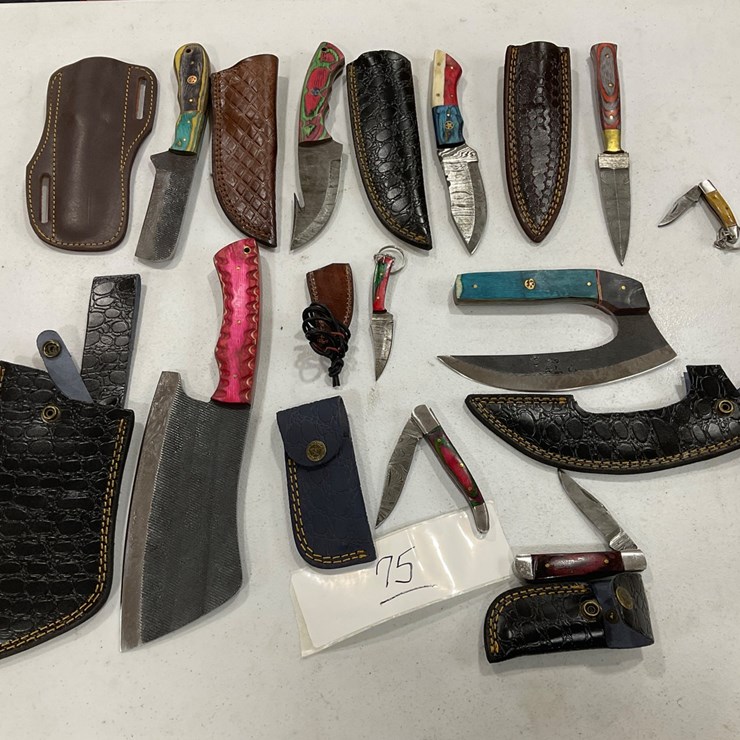 #75 • 10 assorted knives