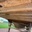 great-dane-sup-1114-31053-image-27