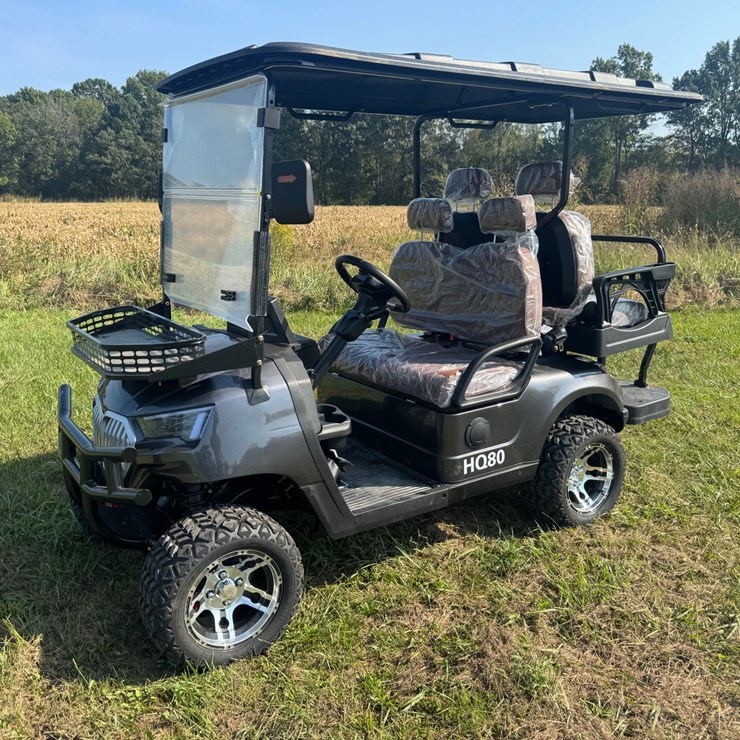 #98 • New SDLG80 electric golf cart