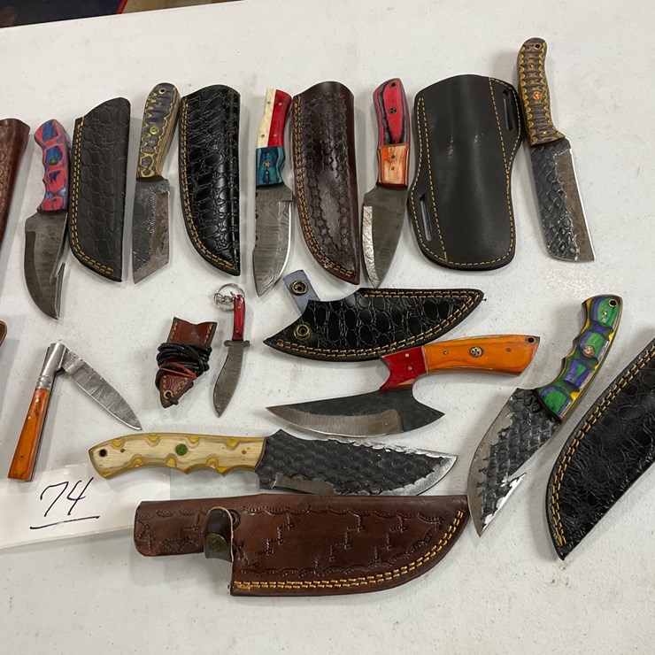#74 • 10 assorted knives