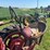 farmall-h-image-25
