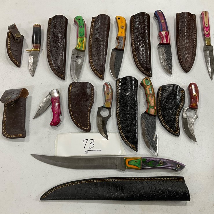 #73 • 10 assorted knives