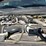 2019-ford-f350-image-9