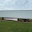 great-dane-sup-1114-31053-image-6