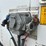 2010-utility-van-image-9