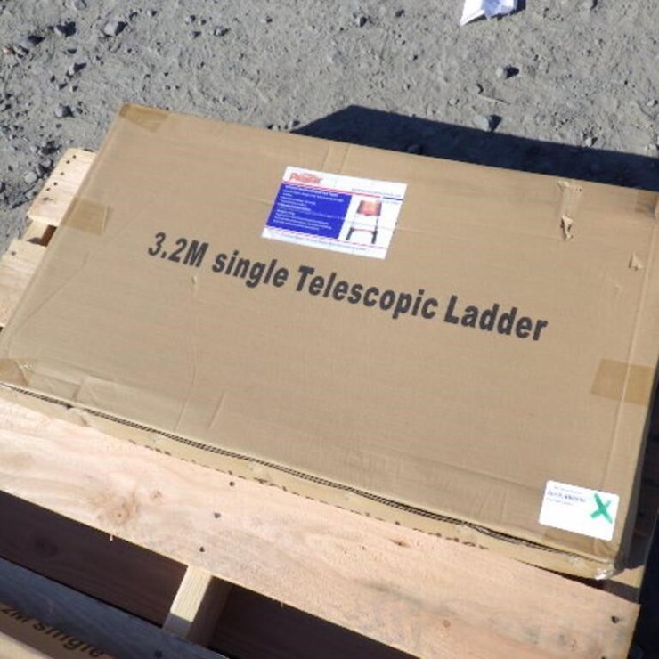 Telescopic Ladder