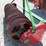 brillion-pups-image-4
