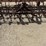 l2---3pt-15'-cultivator-image-3