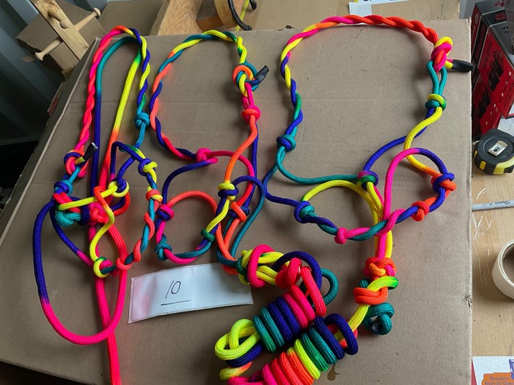 #10-•-3-tie-dye-pony-rope-halters-image-1