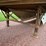 great-dane-sup-1114-31053-image-25