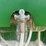 #2359-•-lippman-t-1260-jaw-and-roll-crushers-image-98