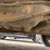 2004-ford-f150-xlt-image-9