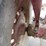 international-706-image-9
