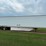 great-dane-sup-1114-31053-image-3