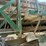#2359-•-lippman-t-1260-jaw-and-roll-crushers-image-104