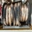2019-safe-arm-pilot-thomas-logistics-t/a-dual-fuel-wall-fuel-station-image-11