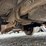 2008-ford-f550-image-33