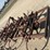 l2---3pt-oliver-chisel-plow-image-7
