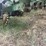 john-deere-1760-image-7