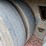 great-dane-sup-1114-31053-image-11