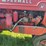 farmall-h-image-19