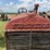 mccormick-deering-10-20-image-19