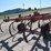 massey-ferguson-129-image-6