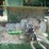 #2359-•-lippman-t-1260-jaw-and-roll-crushers-image-94