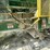 #2359-•-lippman-t-1260-jaw-and-roll-crushers-image-11