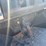 kawasaki-mule-4010-image-19