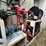 2019-safe-arm-pilot-thomas-logistics-t/a-dual-fuel-wall-fuel-station-image-18